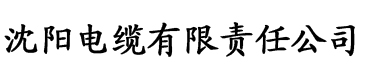 久久国产综合精品五月天电缆厂logo